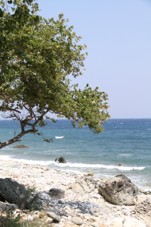 Bord de mer sauvage Agos Ioanis