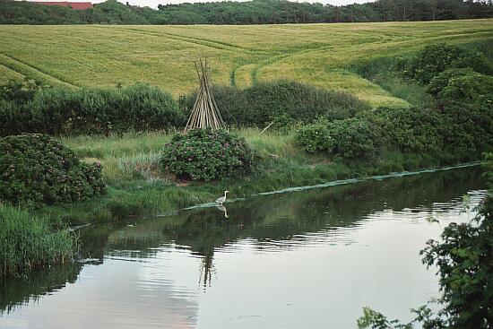 Canal le long du camping