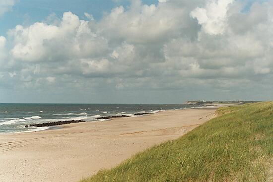 Plage le long de la route 181