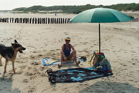 Plage de Nieuwvliet-Bad