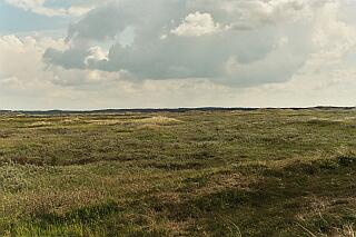 Paysage entre Agger et Hanstholm