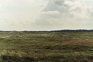 Paysage entre Agger et Hanstholm